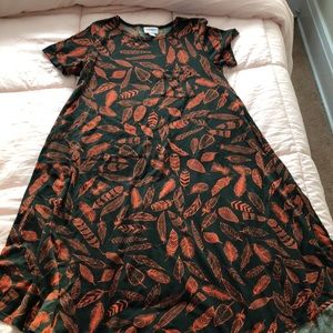 Lularoe dress for fall!